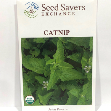 Catnip, Organic